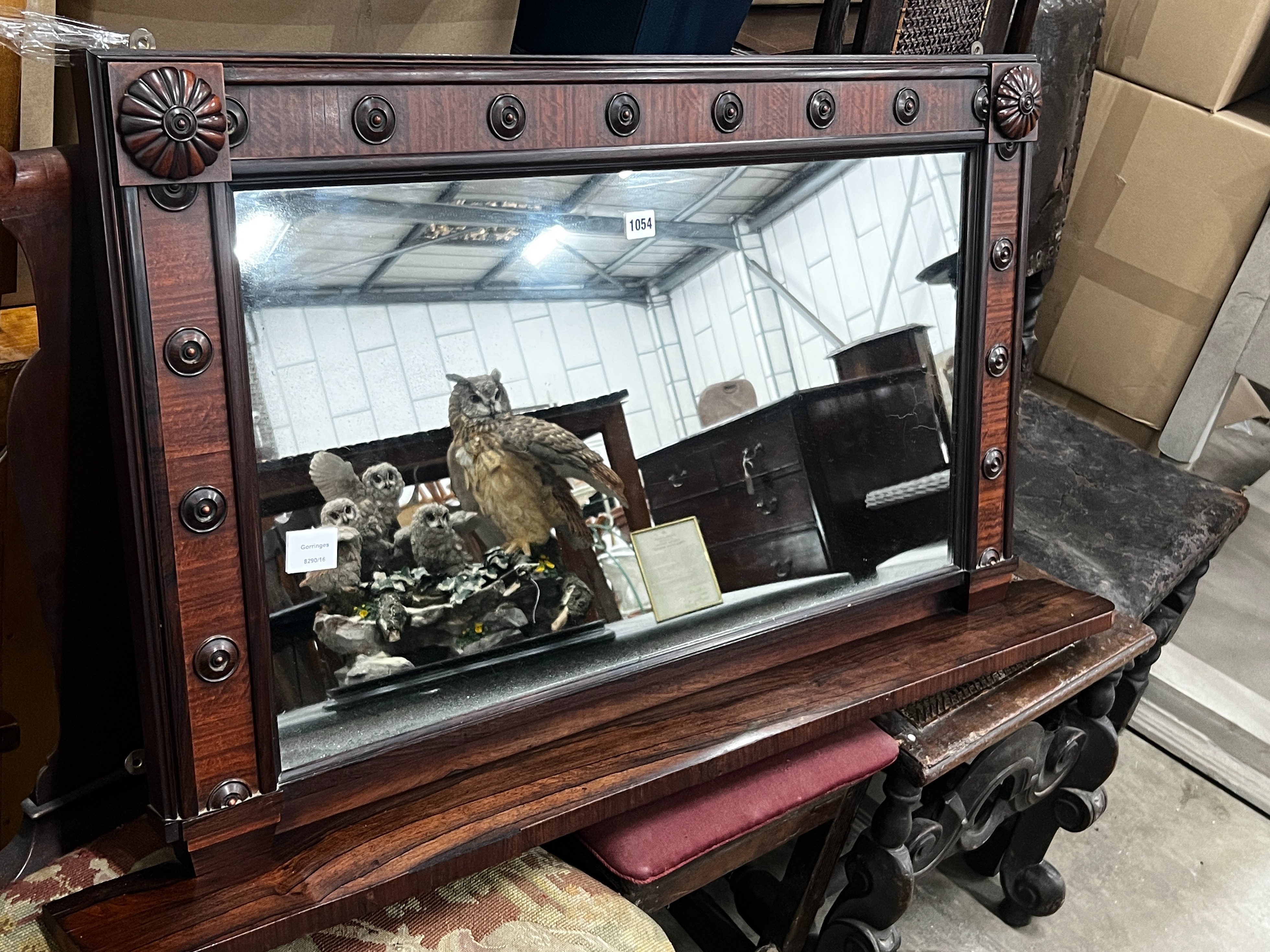 A William IV rosewood and mahogany veneered overmantel mirror, width 116cm, height 62cm